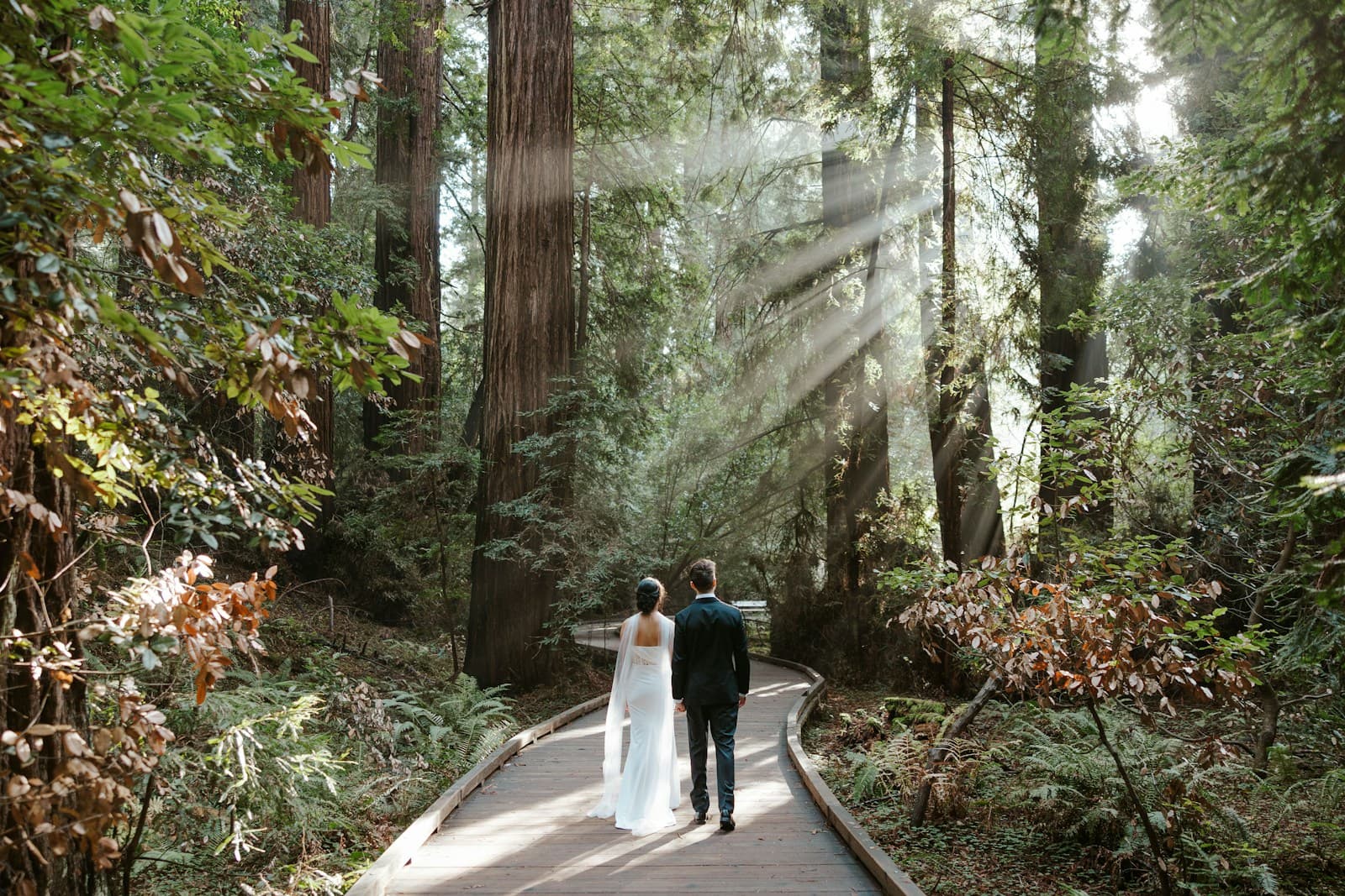 A couple walking among tall woodland trees. Temporary editorial photograph.
